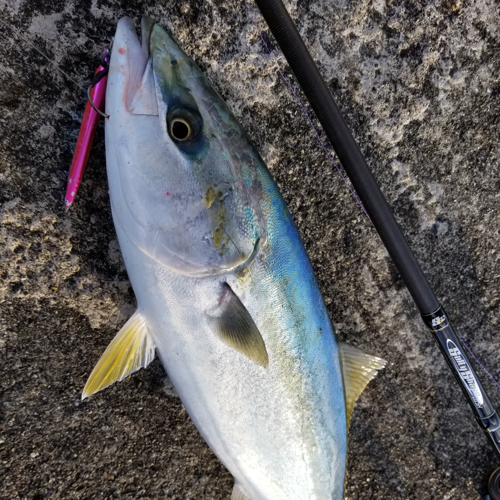 101004535_2941605082602479_3561578772392050688_n 101004535_2941605082602479_3561578772392050688_n